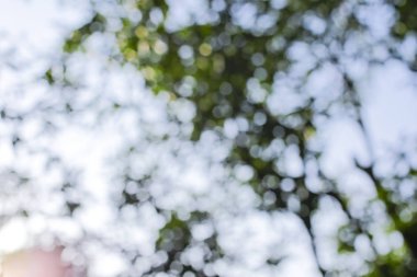 Odaklanamayan soyut ışıkların arkaplanı. Bokeh ışıkları 