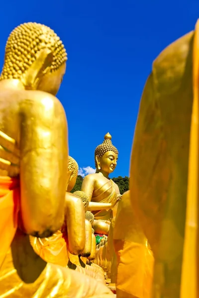 Buddha Park Buddhistiska Monument Nakhon Nayok Memorial Buddha Resning Pang — Stockfoto