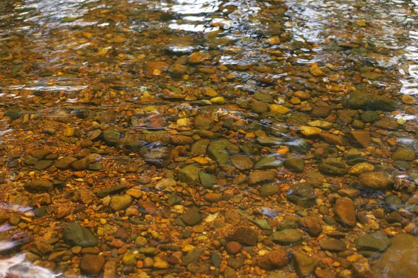 Tayland 'ın tropik yağmur ormanlarında şelale