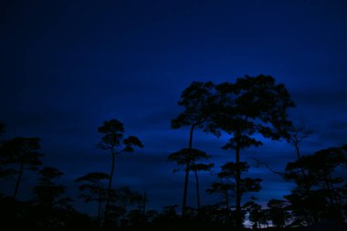 Sabah güneş doğuyor.