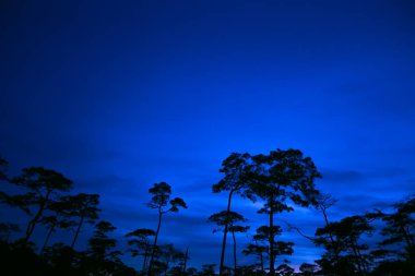 Sabah güneş doğuyor.