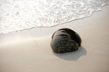 Kumlu sahilde denizin yumuşak dalgası