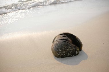 Kumlu sahilde denizin yumuşak dalgası