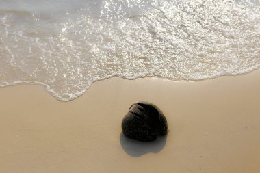 Kumlu sahilde denizin yumuşak dalgası