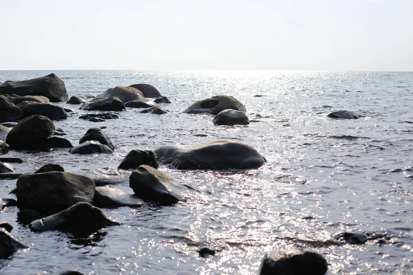 Denizde süslü Rock 