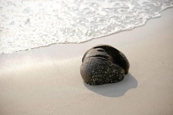 Kumlu sahilde denizin yumuşak dalgası