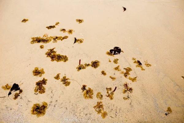 Deniz plaj kum doku ve arka plan için yakın çekim