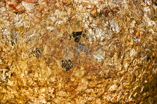 Gold Leaf Background Textures — Stock Photo, Image