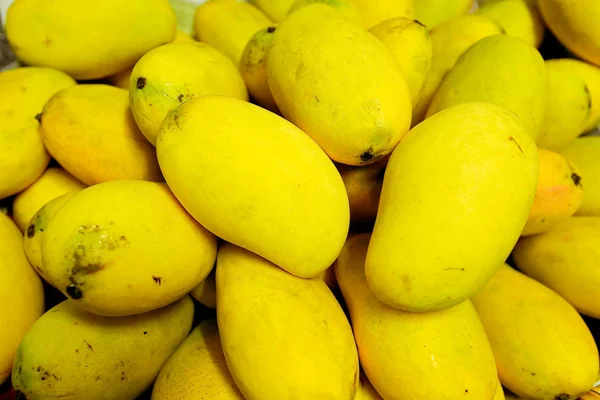 Ripe Alphonso Mangos Βασιλιάς Των Φρούτων — Φωτογραφία Αρχείου