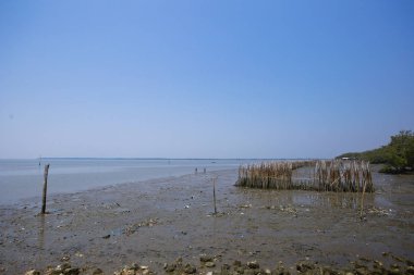 Don Hoi çok, Samut Songkhram il, Tayland, Hollanda beach