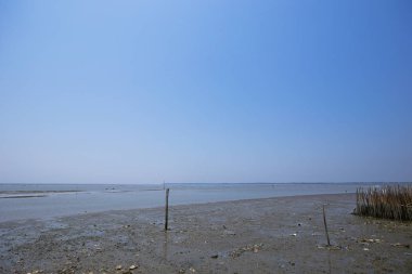 Don Hoi çok, Samut Songkhram il, Tayland, Hollanda beach