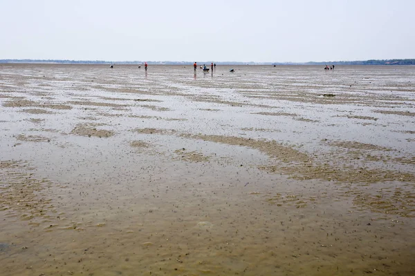 Don Hoi çok, Samut Songkhram il, Tayland, Hollanda beach