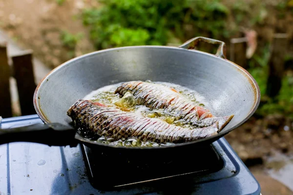 raw silver barb fish for cooking