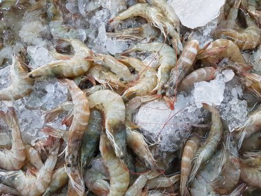 Ham kaplan karides gıda pazarında