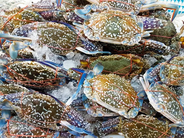 ham mavi yengeç gıda pazarında