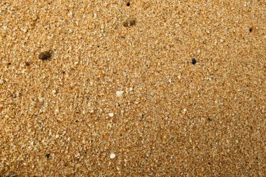 Deniz plaj kum doku ve arka plan için yakın çekim