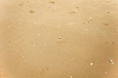 Kumlu sahilde denizin yumuşak dalgası