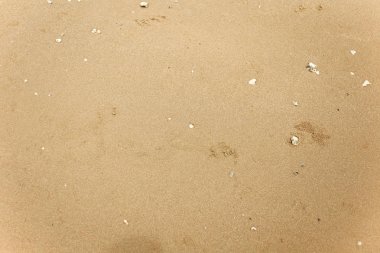 Kumlu sahilde denizin yumuşak dalgası