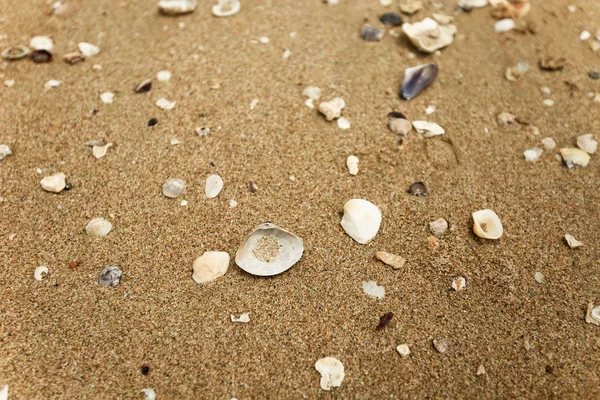 Zachte Golf Van Zee Het Zandstrand — Stockfoto