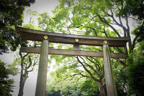 Meiji Jingu Tokyo Japonya Yakın Japonya Nın Popüler Tarihi Tapınak — Stok fotoğraf