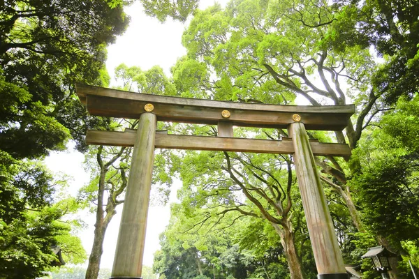 Torii Meiji Jingu Tóquio Japão Santuário Histórico Mais Popular Japão — Fotografia de Stock