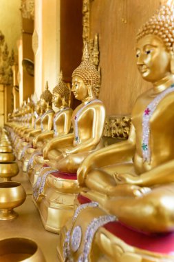 Budist tapınağı golded Buda heykelleri