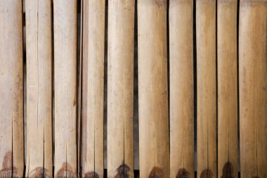 güzel Tayland bambu arka plan 