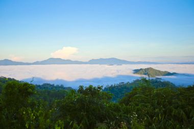 sabah sis, tropikal dağ silsilesi