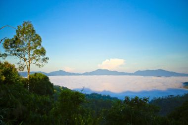 sabah sis, tropikal dağ silsilesi