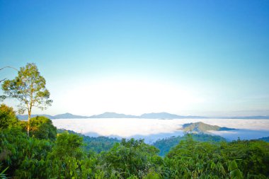 sabah sis, tropikal dağ silsilesi