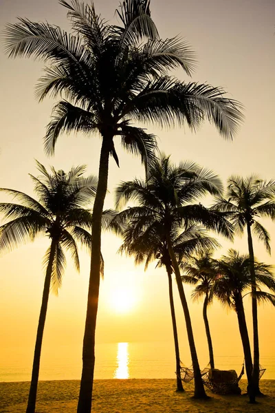 Gün batımında kumsalda palmiyeler