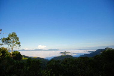 sabah sis, tropikal dağ silsilesi