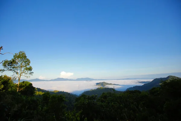 Brume du matin à la chaîne de montagnes tropicales — Photo