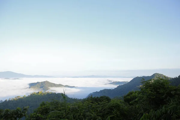 晨雾在热带山脉 — 图库照片