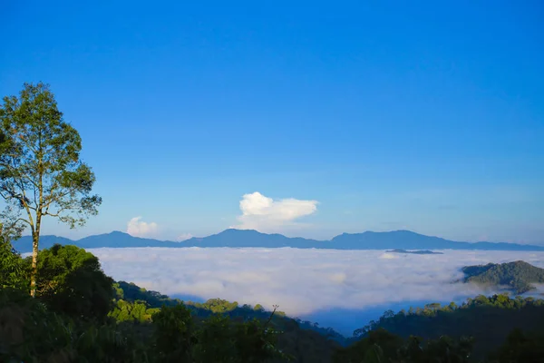 Brume du matin à la chaîne de montagnes tropicales — Photo