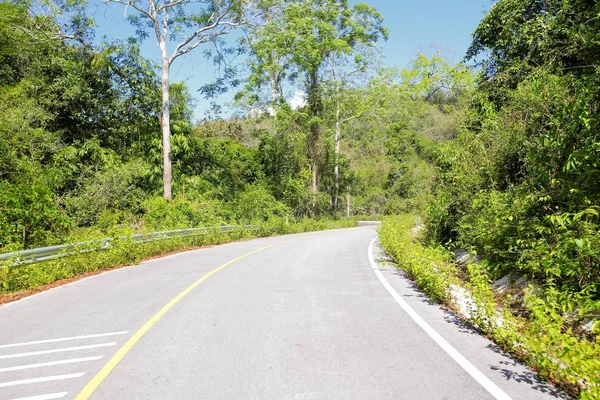 Una strada sinuosa di fresco albero verde — Foto Stock