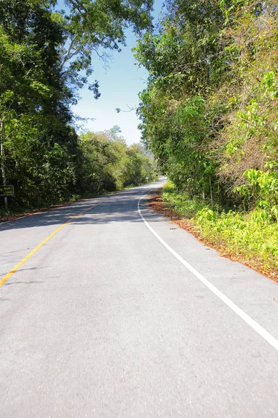 A curvy road of fresh green tree — Stock Photo, Image