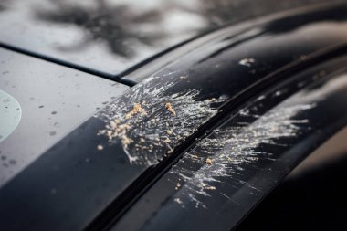 Arabanın kirli arka cam