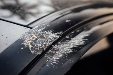 Arabanın kirli arka cam