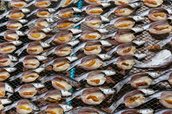 Saltad fisk torkning på rack — Stockfoto