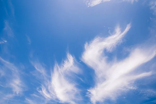 Fantastische zachte witte wolken — Stockfoto