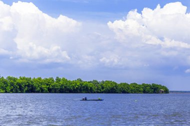 Parlak bir yaz gününde beyaz gökyüzü hayatta özgürlük hissi verir.