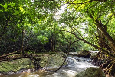 Kao Chon Şelalesi (Kao Joan Şelalesi) Tayland 'ın Ratchaburi ilinin Suan Phueng ilçesinin ünlü şelalesidir..