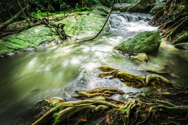 Kao Chon Şelalesi (Kao Joan Şelalesi) Tayland 'ın Ratchaburi ilinin Suan Phueng ilçesinin ünlü şelalesidir..