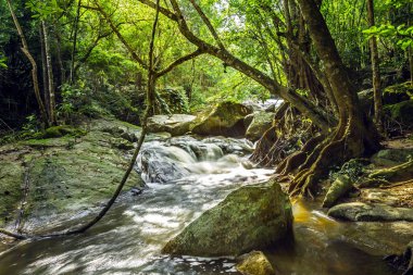 Kao Chon Şelalesi (Kao Joan Şelalesi) Tayland 'ın Ratchaburi ilinin Suan Phueng ilçesinin ünlü şelalesidir..