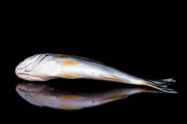 海鱼含有对身体至关重要的营养物质 可以在任何年龄食用 因为它容易消化 脂肪含量低 — 图库照片