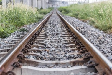 Tren geçerken bir satýr kırsal Tayland.