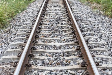 Tren geçerken bir satýr kırsal Tayland.