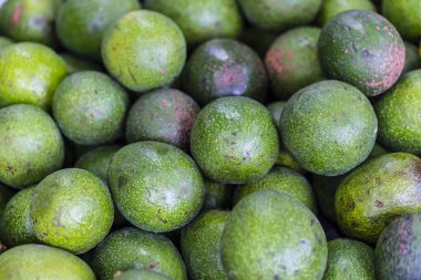 Pazardaki meyve dükkanlarında avokadolar