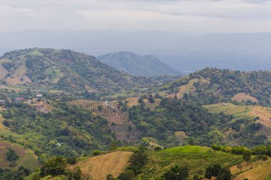 Yaz dağları yeşil çimenler ve mavi gökyüzü manzarası